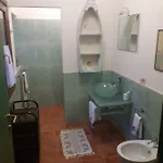 فيلة Timothy بروكيو